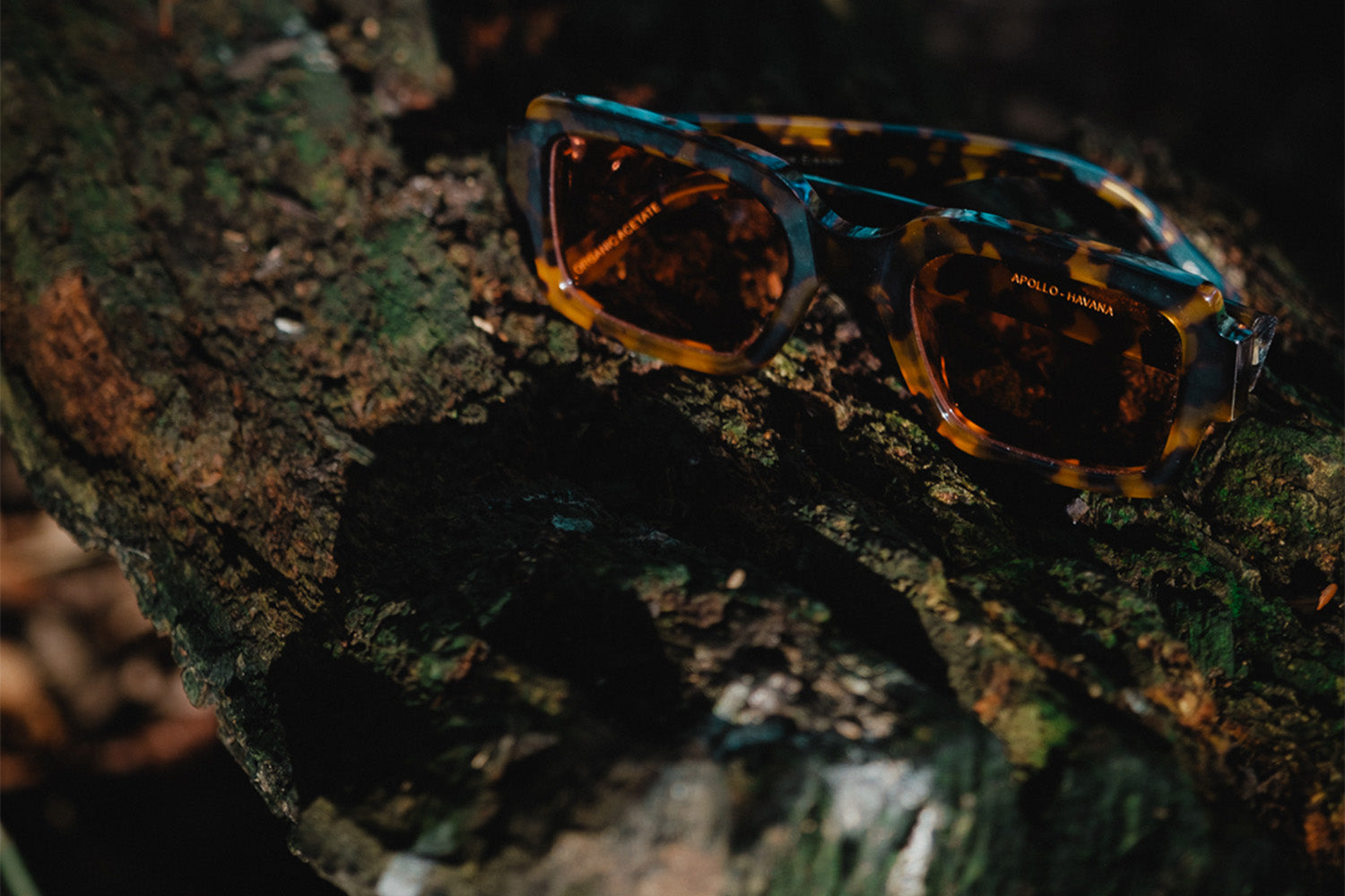 Ethical Shopping Guide: Building Your Wardrobe without Compromise