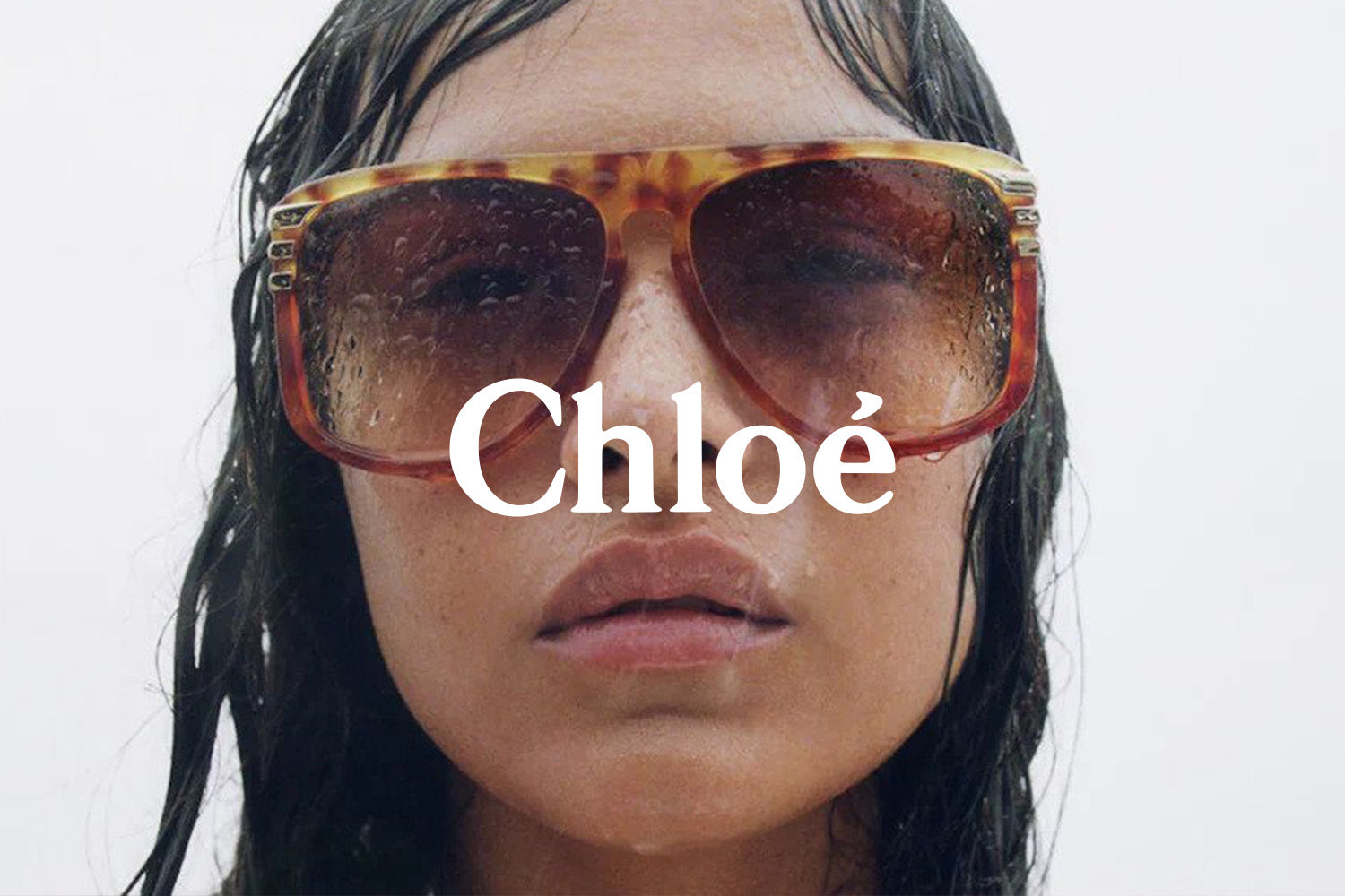 Chloé Sunglasses